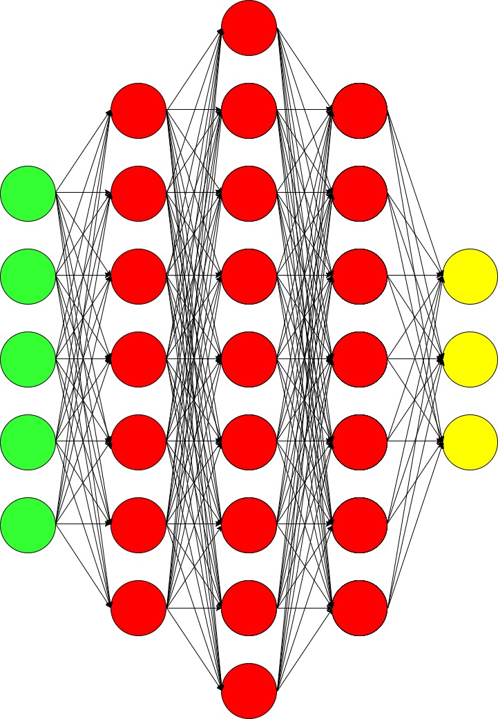neural network